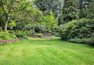 Optimiser l'expérience du jardin à Saint-Sauveur-de-Montagut