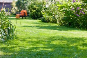 travaux jardin et paysage Saint-Sauveur-de-Montagut